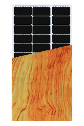 Polychrome Featured Image